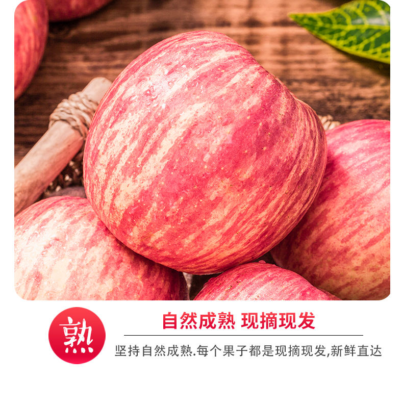 素材2