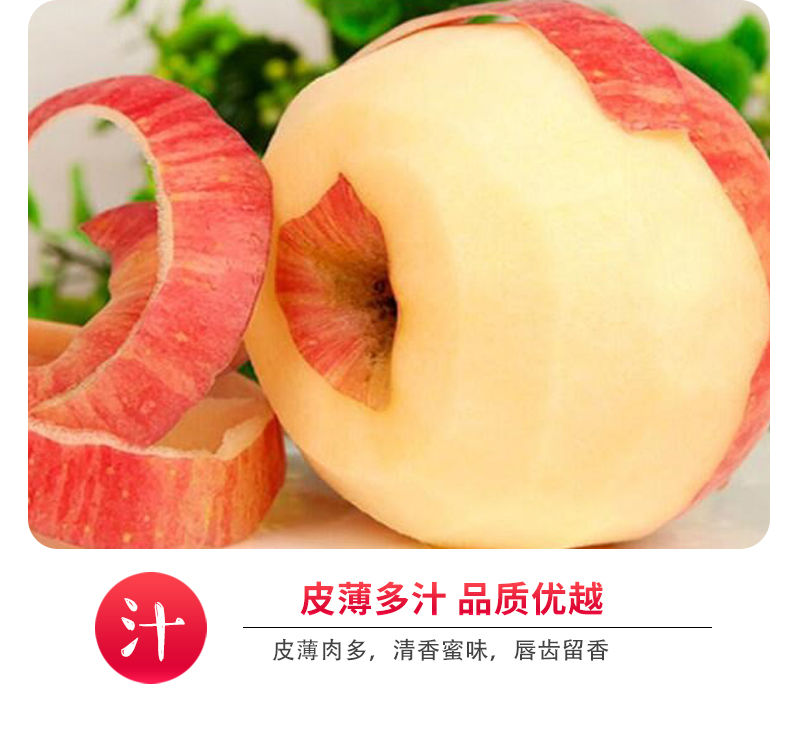 素材3