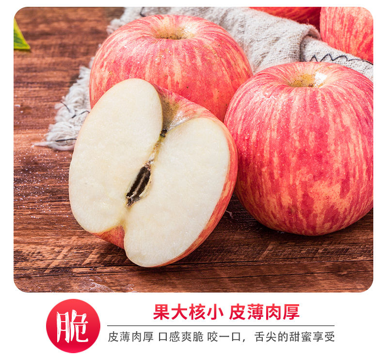 素材5