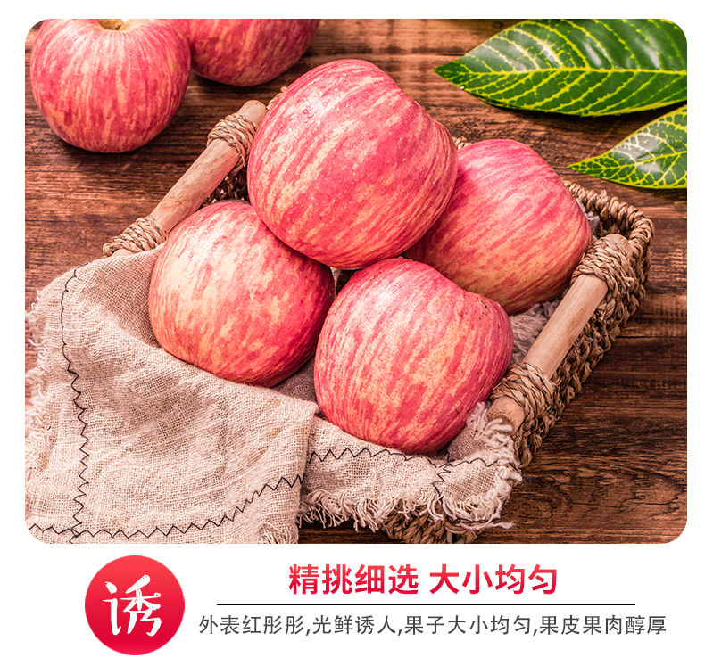 素材6