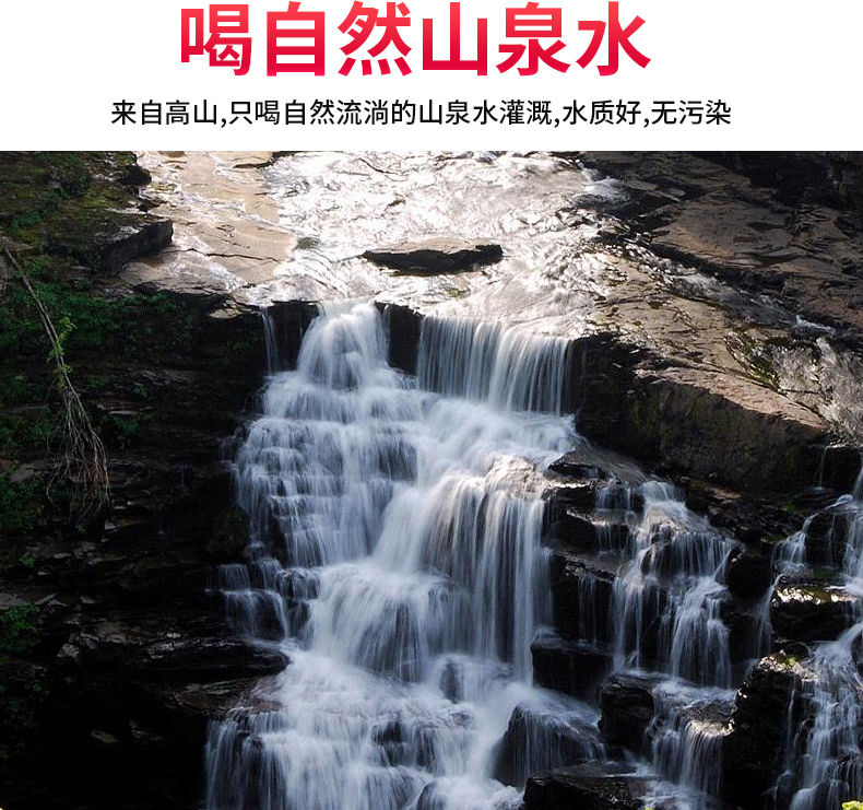 素材8