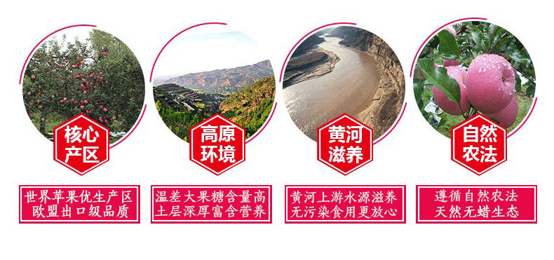 素材9