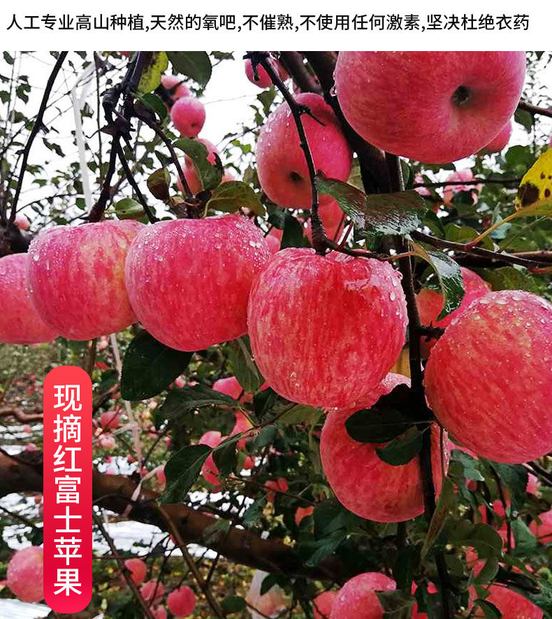 素材10