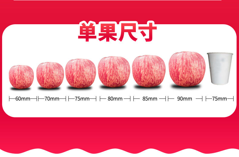 素材11