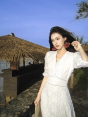 度假风新款法式蕾丝刺绣V领中长款连衣裙女 