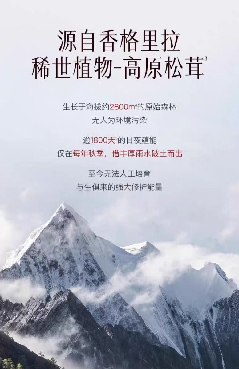 微信图片_20250503193728